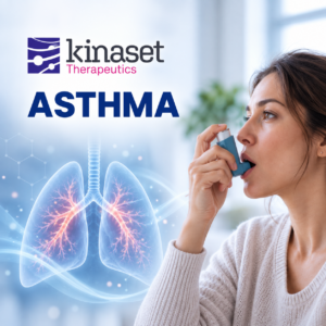 Kinaset-Asthma (phase 2)